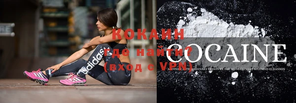 дживик Чита