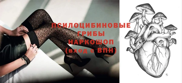 дживик Чита