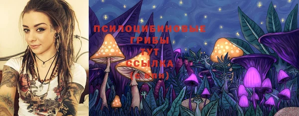 дживик Чита