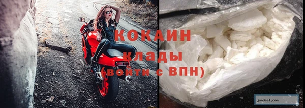 дживик Чита