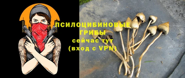 MDMA Архангельск