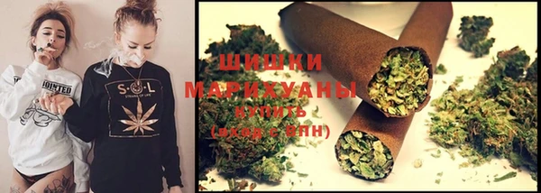 дживик Чита